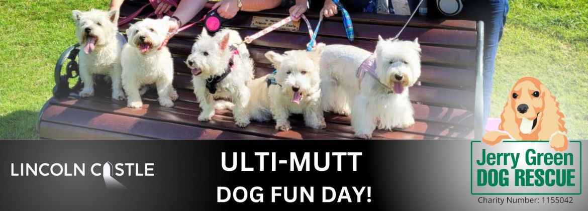 ULTI-MUTT DOG FUN DAY – Lincoln Castle